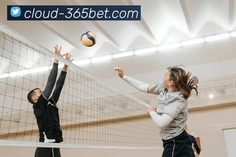 多媒体互动体验